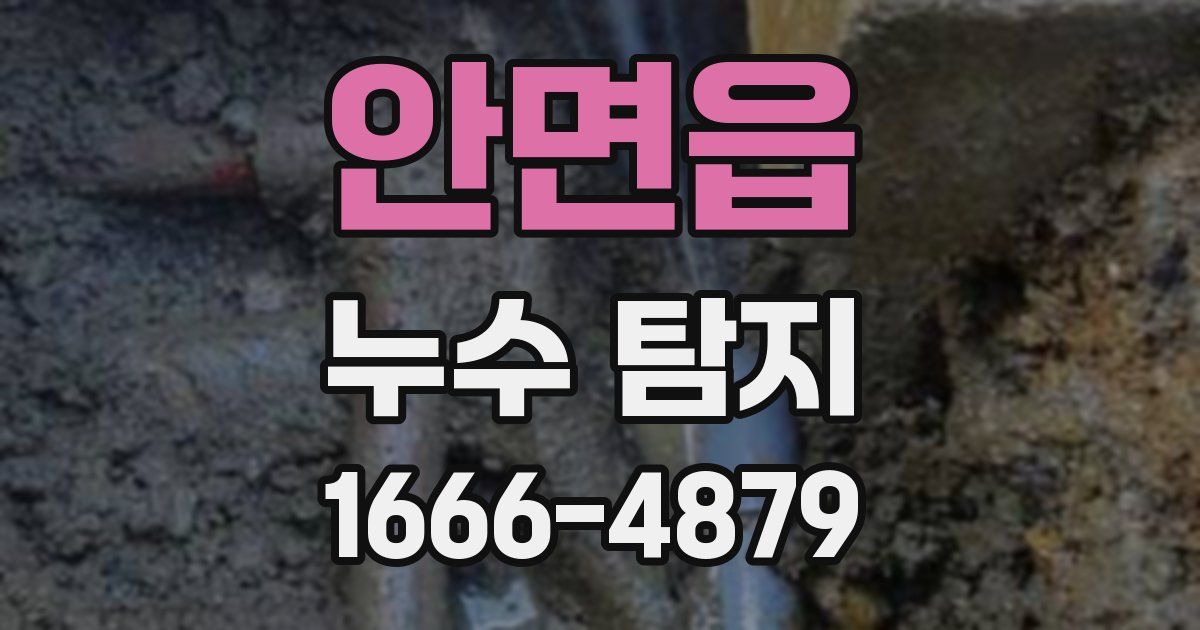 안면읍 누수 탐지