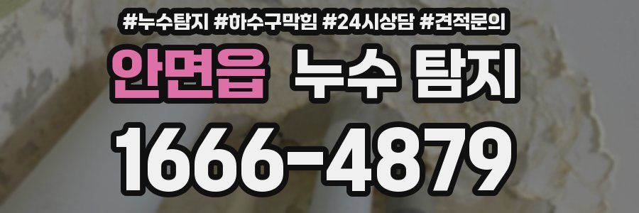 안면읍 누수 탐지