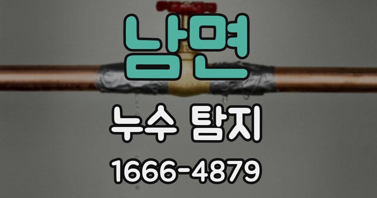 남면 누수 탐지