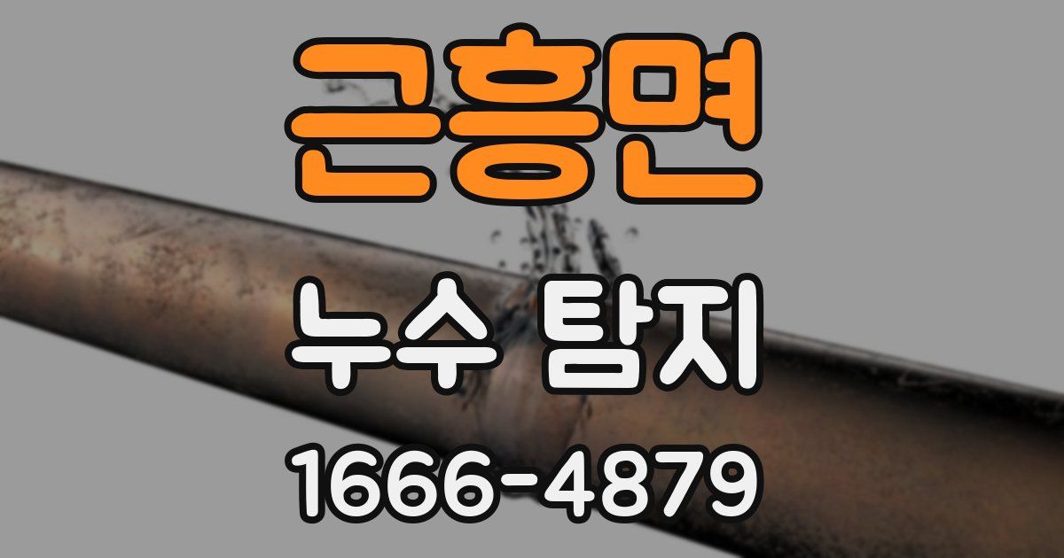 근흥면 누수 탐지