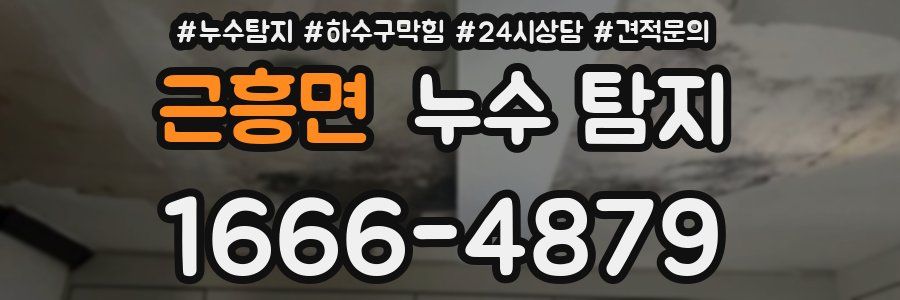 근흥면 누수 탐지