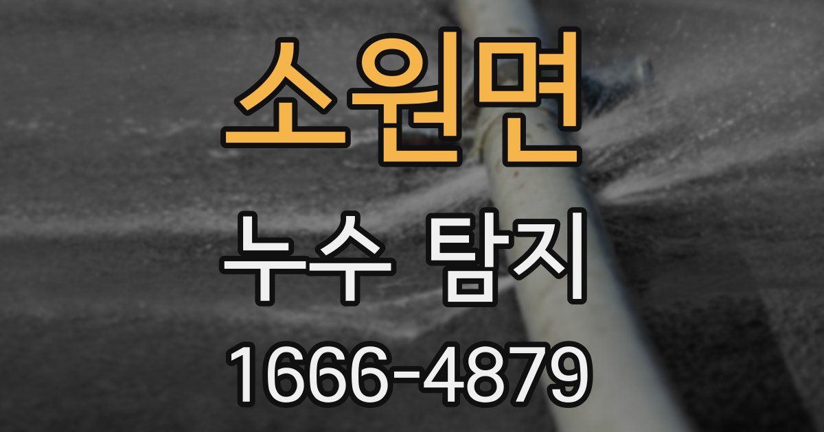 소원면 누수 탐지