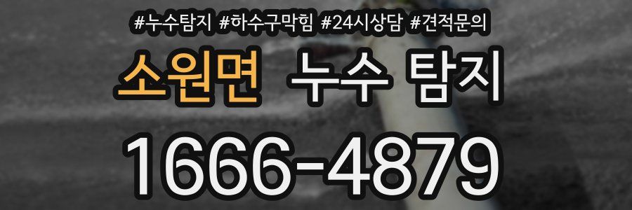 소원면 누수 탐지