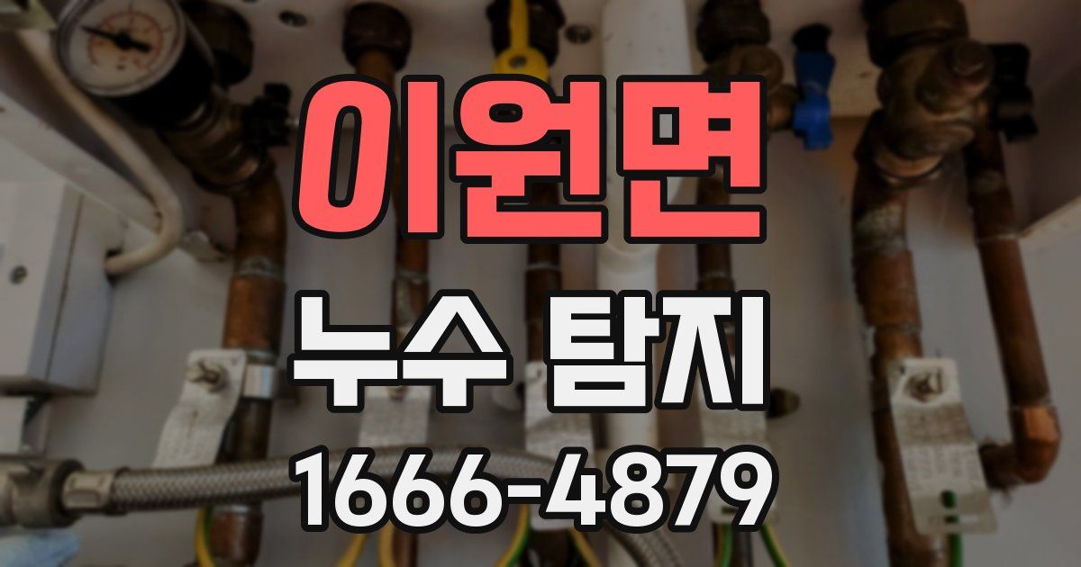 이원면 누수 탐지