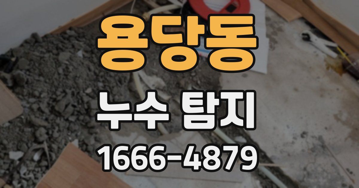 용당동 누수 탐지