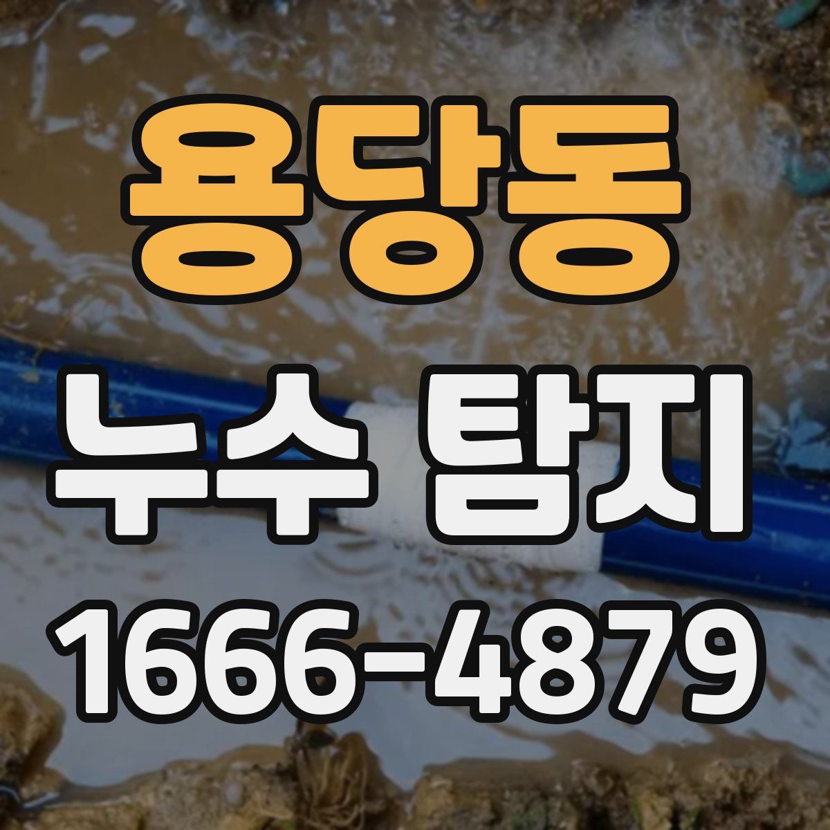 용당동 누수 탐지