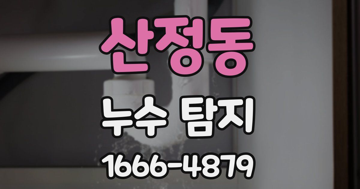 산정동 누수 탐지