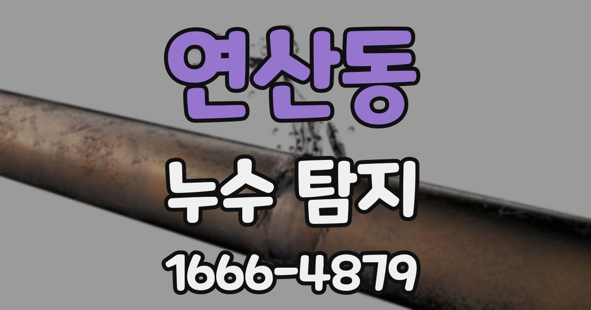 연산동 누수 탐지