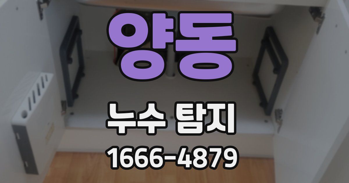 양동 누수 탐지