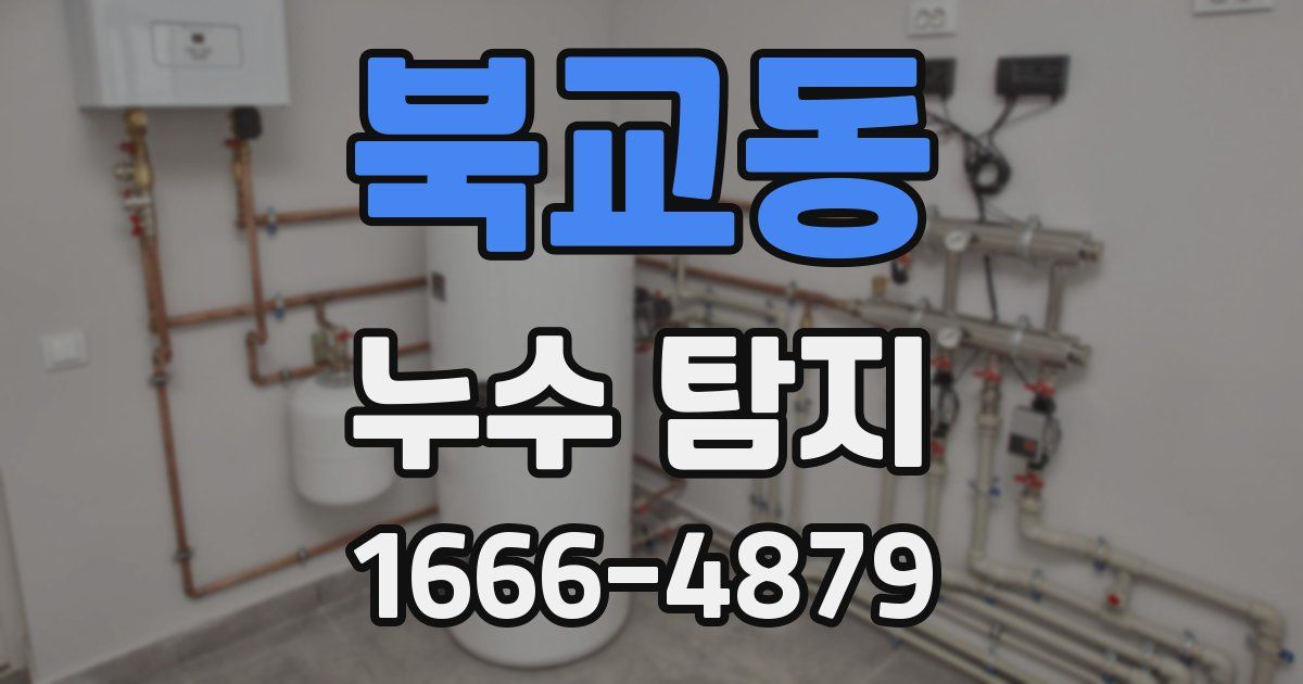 북교동 누수 탐지