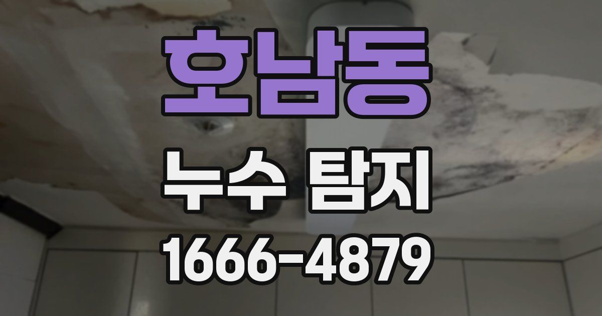 호남동 누수 탐지