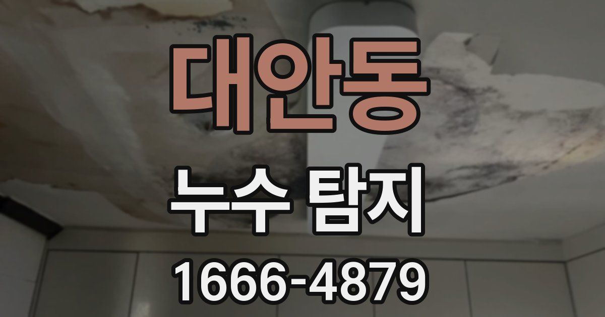 대안동 누수 탐지