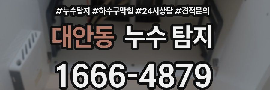 대안동 누수 탐지