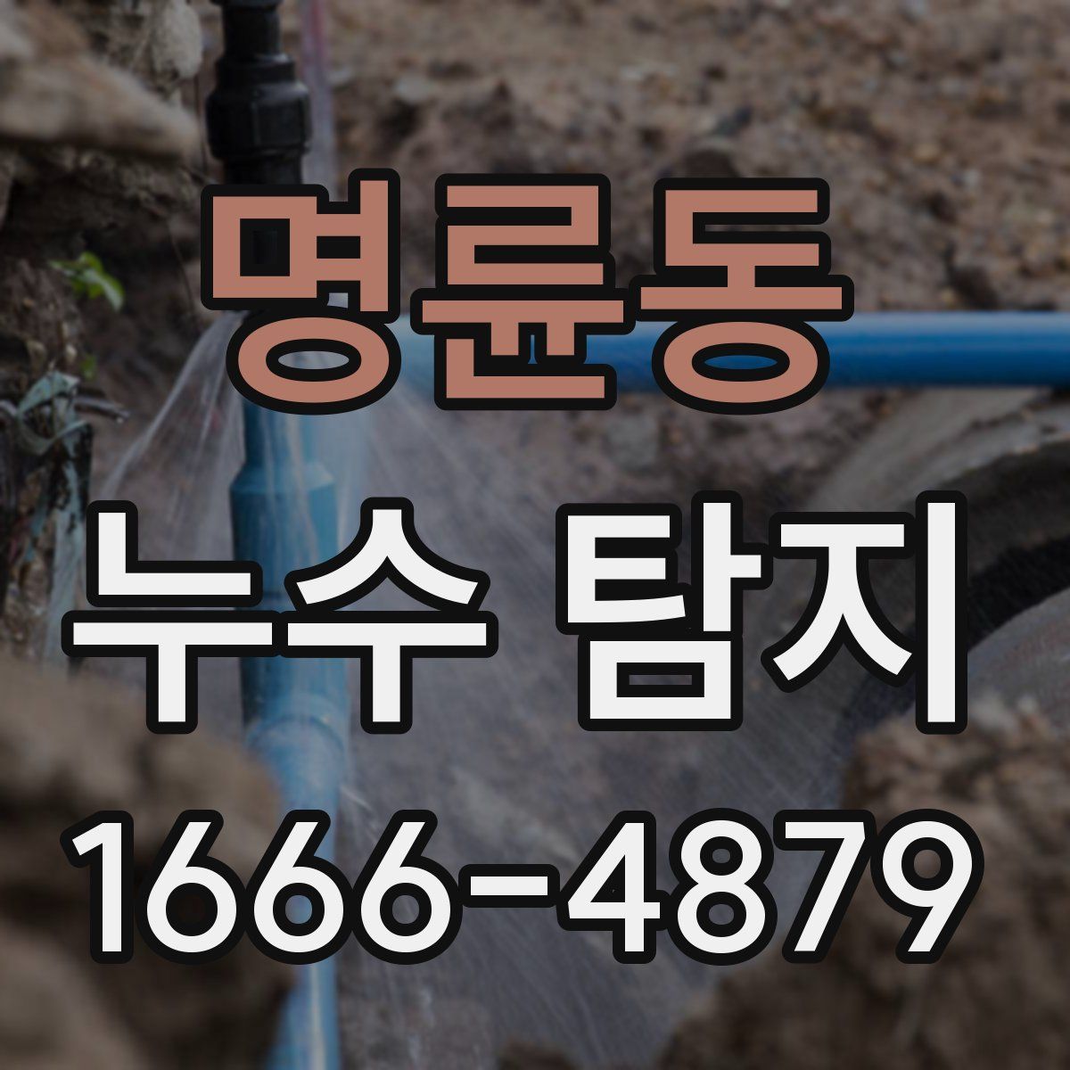 명륜동 누수 탐지