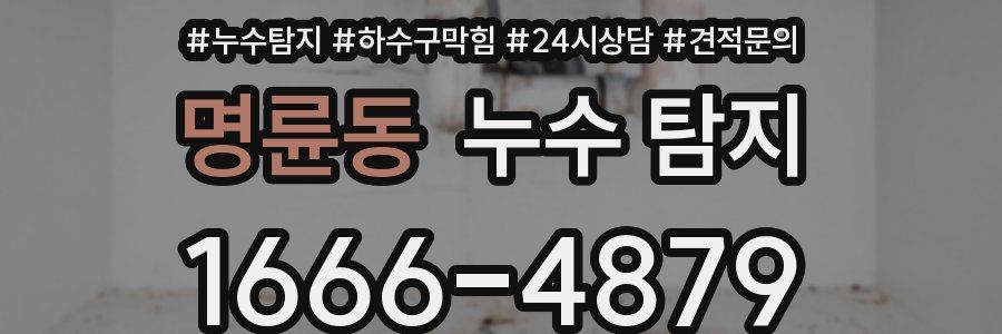 명륜동 누수 탐지