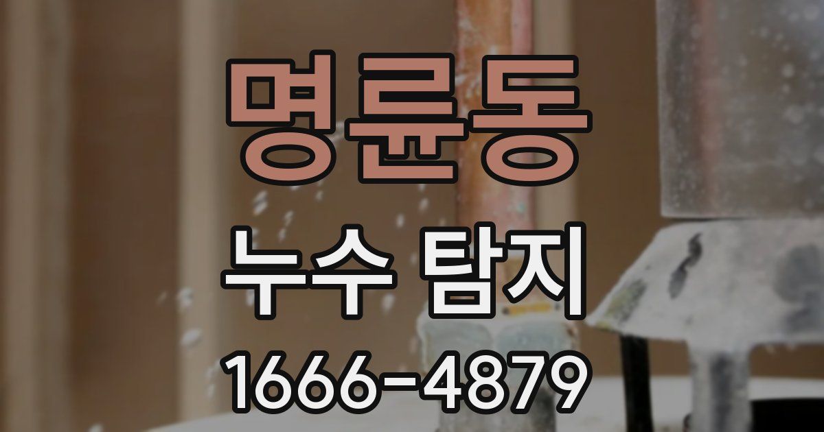 명륜동 누수 탐지
