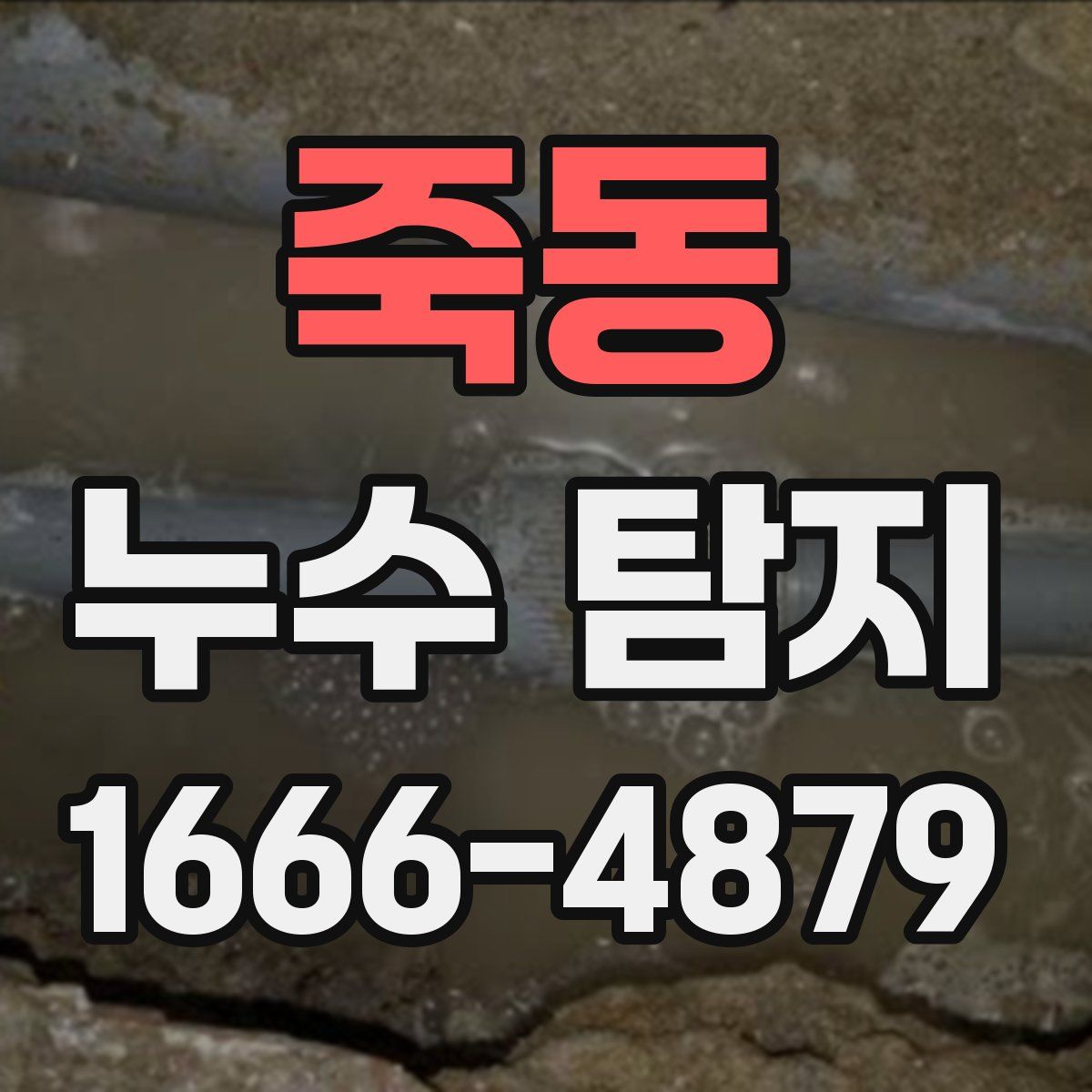 죽동 누수 탐지