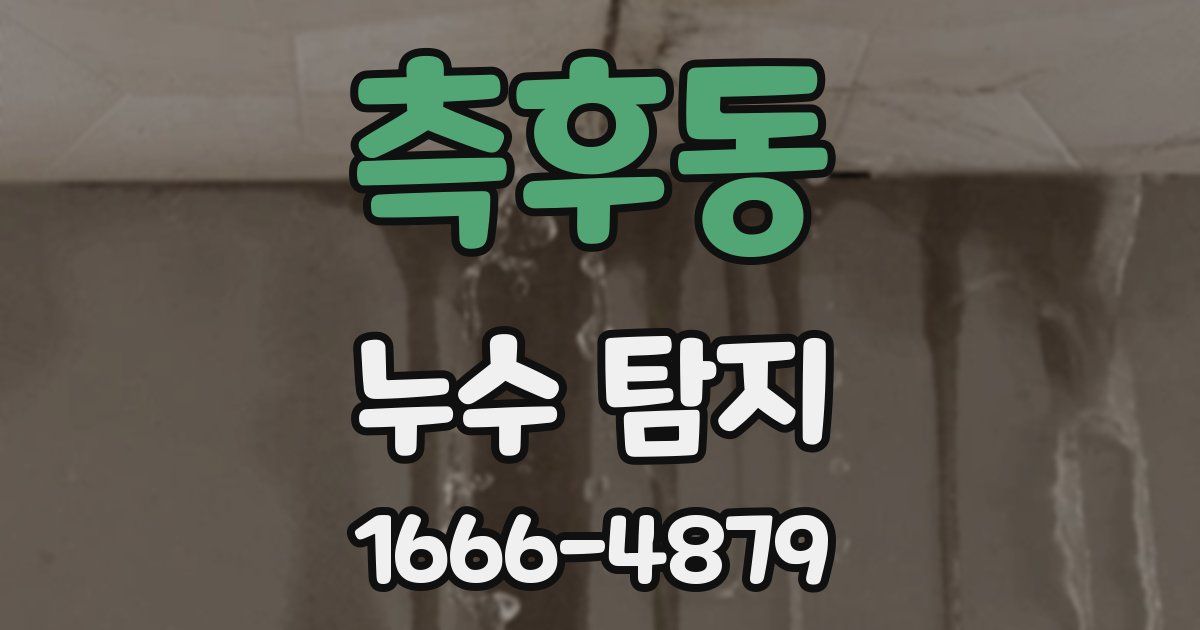 측후동 누수 탐지