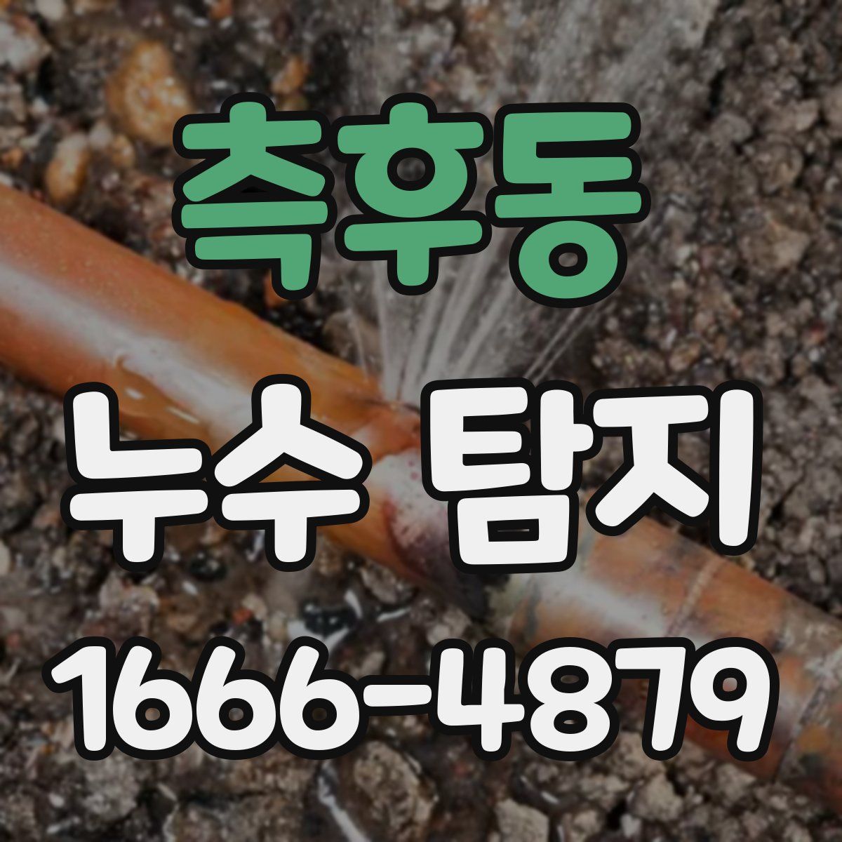 측후동 누수 탐지