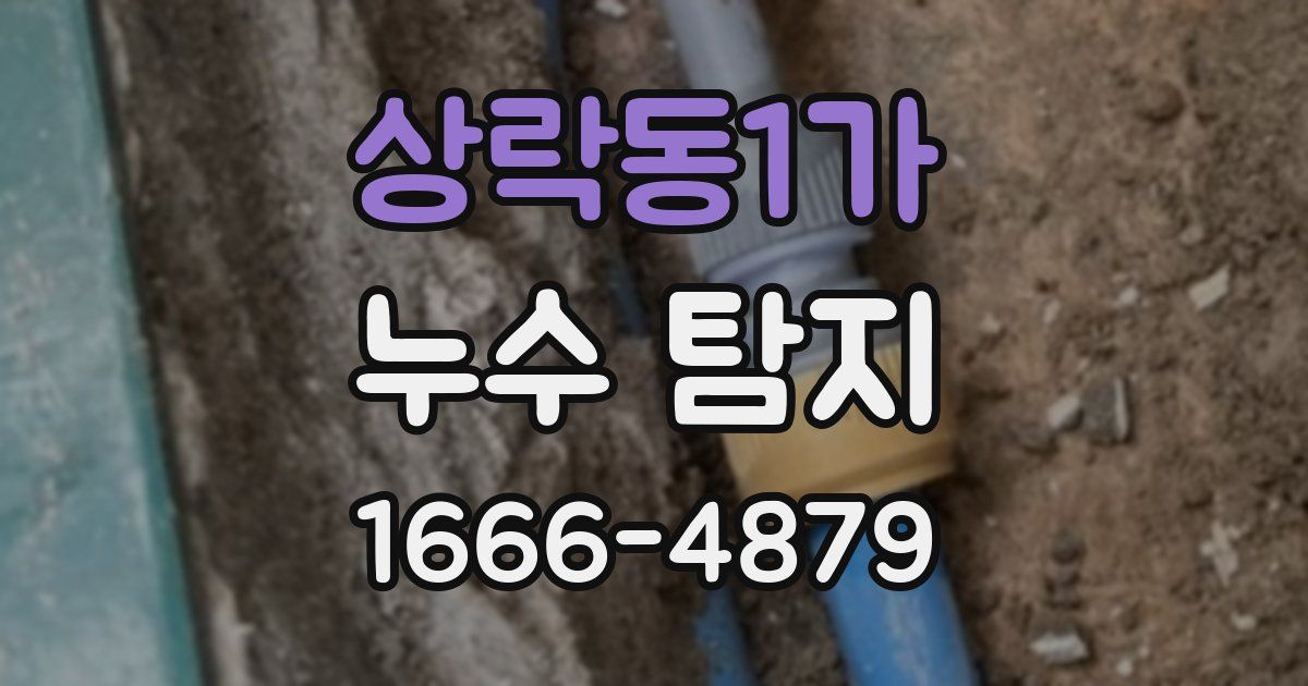 상락동1가 누수 탐지