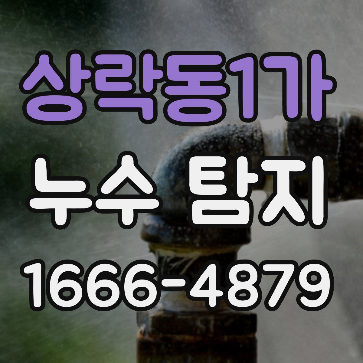 상락동1가 누수 탐지