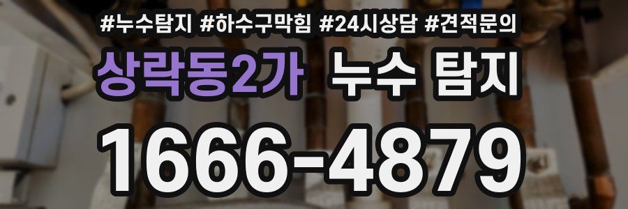 상락동2가 누수 탐지