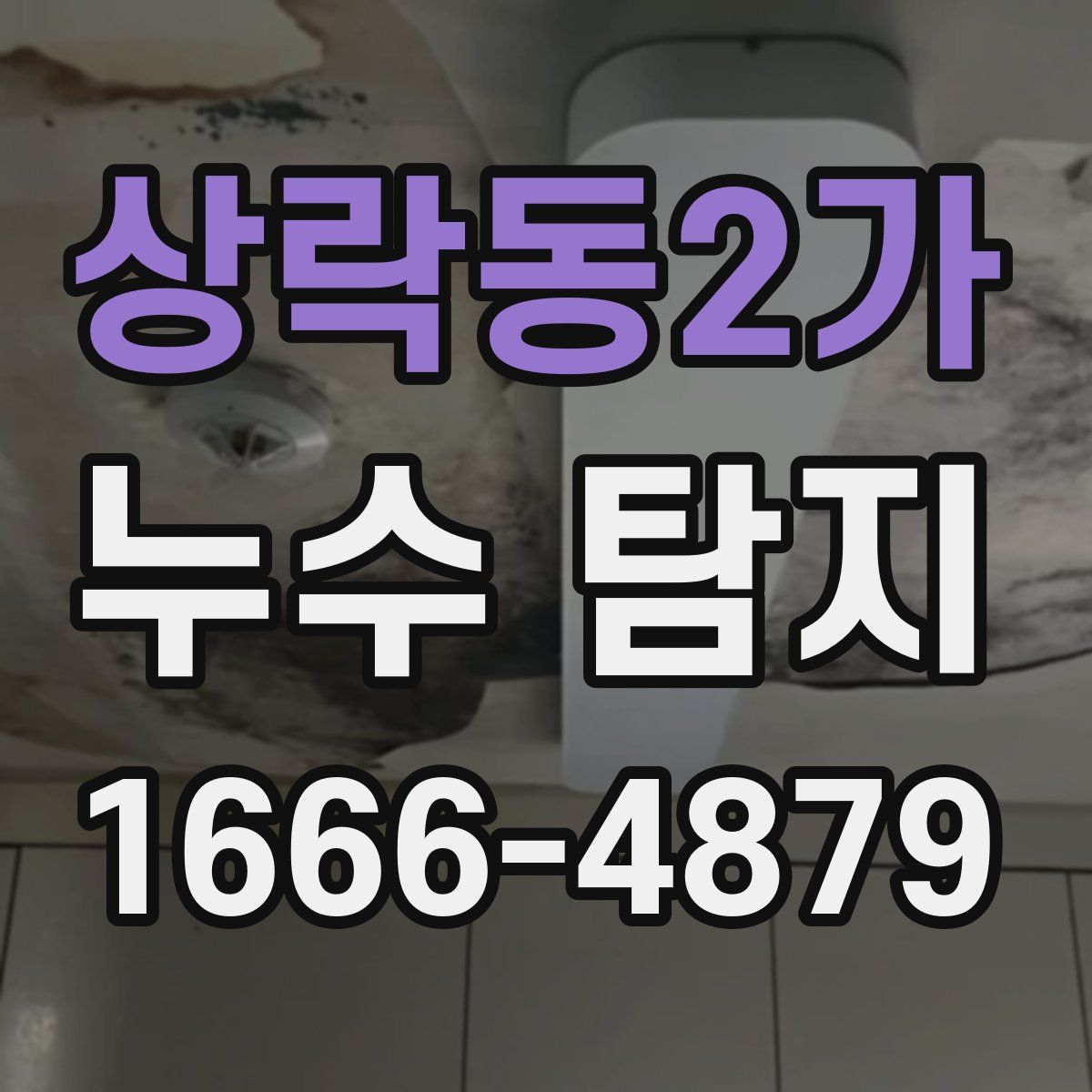 상락동2가 누수 탐지