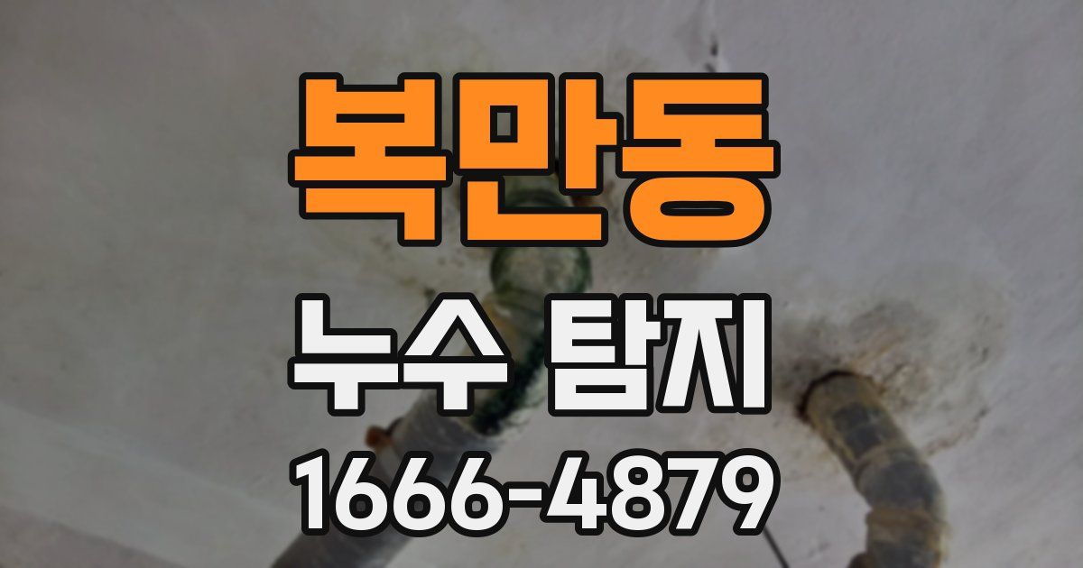 복만동 누수 탐지