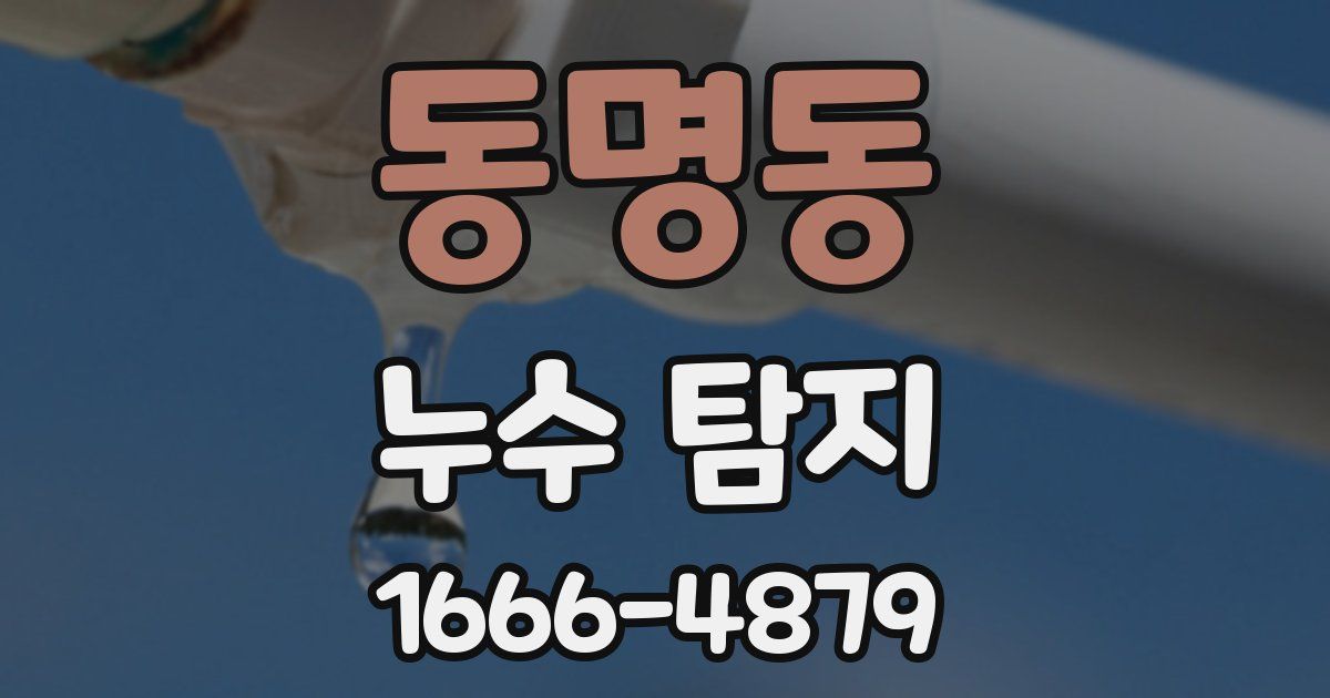 동명동 누수 탐지