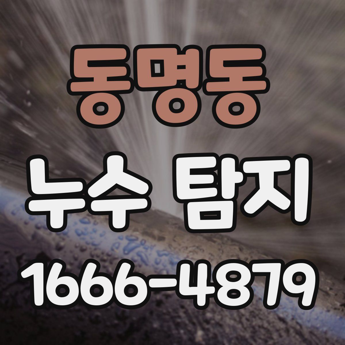 동명동 누수 탐지