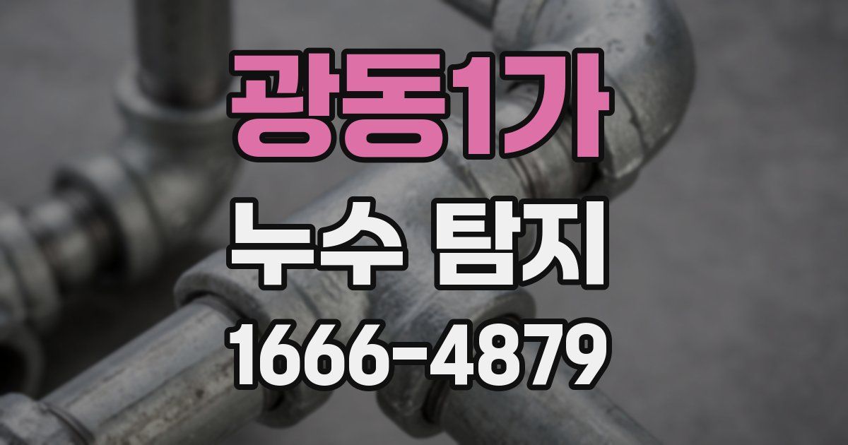 광동1가 누수 탐지