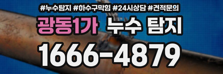 광동1가 누수 탐지