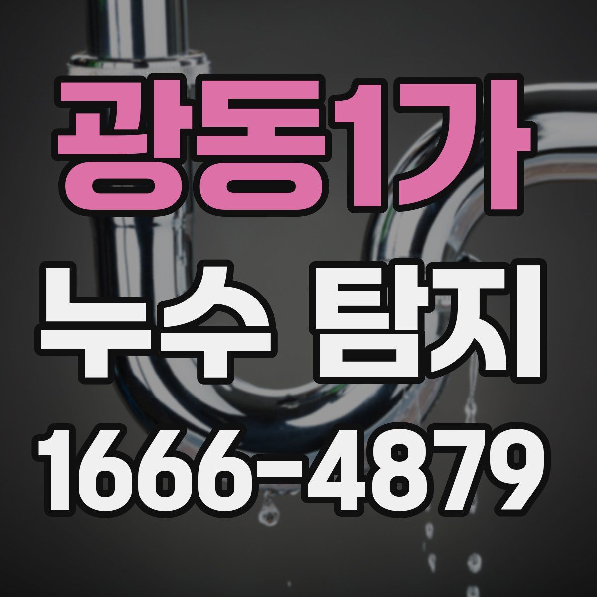 광동1가 누수 탐지