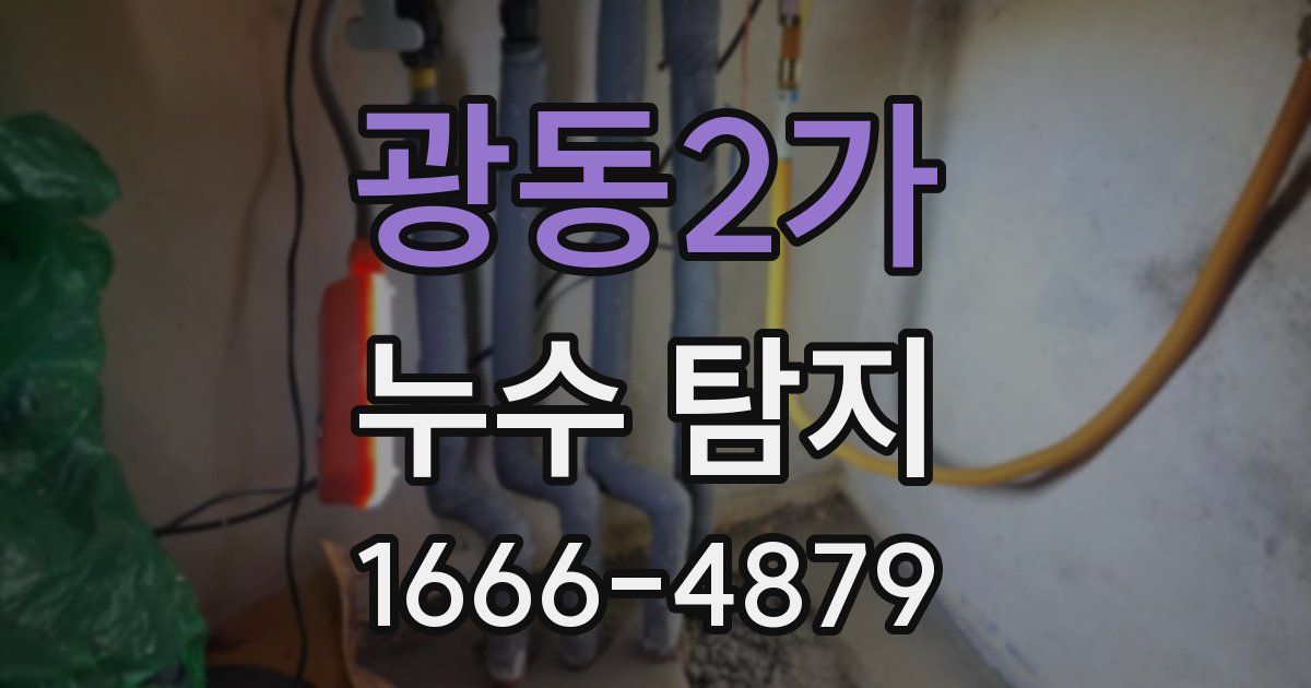 광동2가 누수 탐지