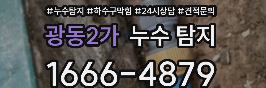 광동2가 누수 탐지
