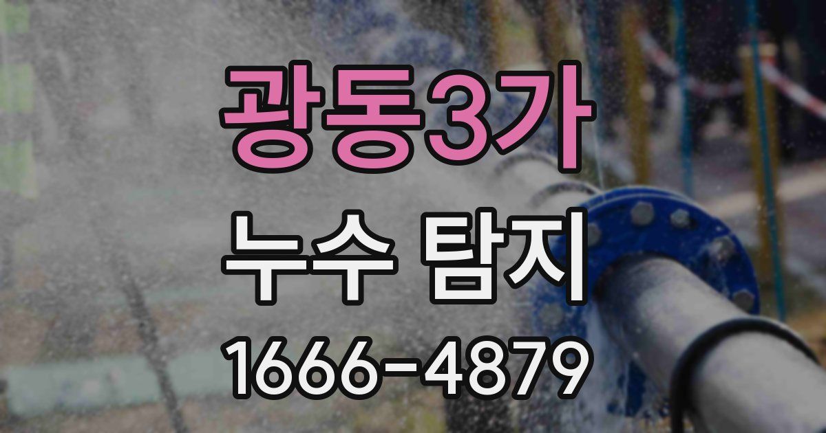 광동3가 누수 탐지