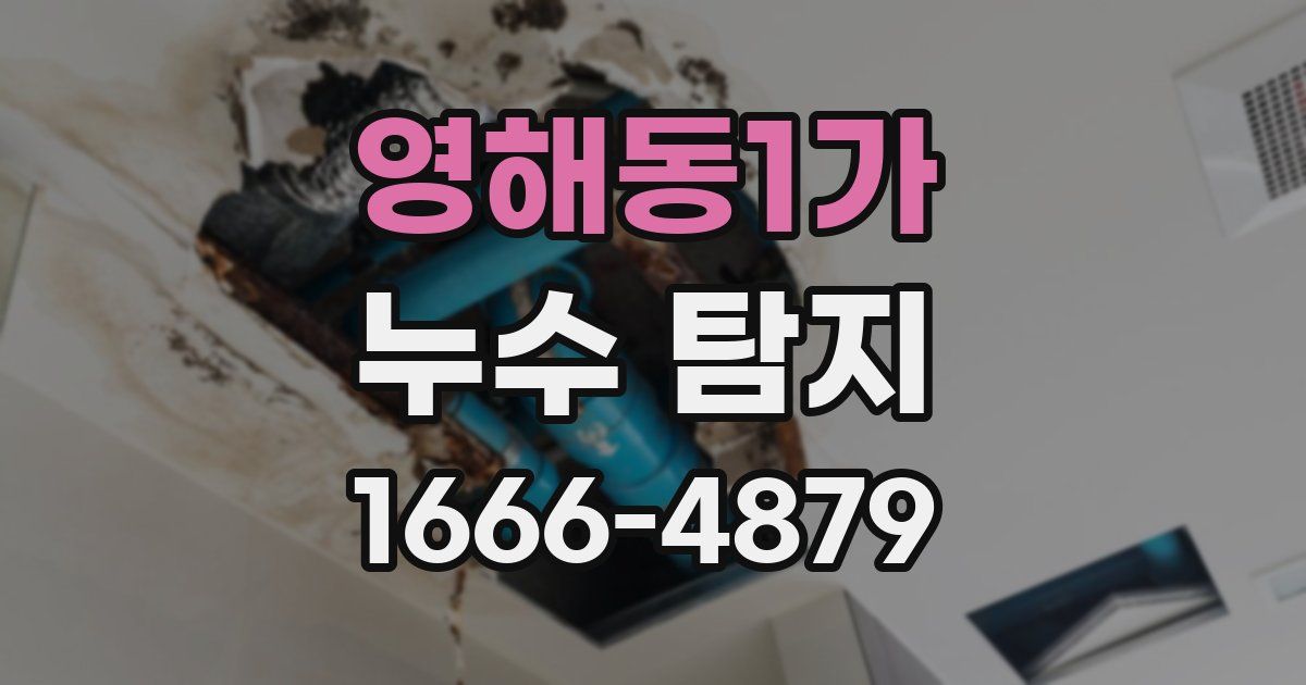 영해동1가 누수 탐지