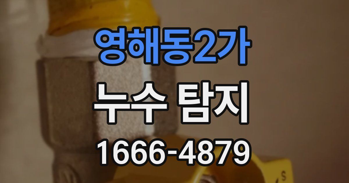 영해동2가 누수 탐지
