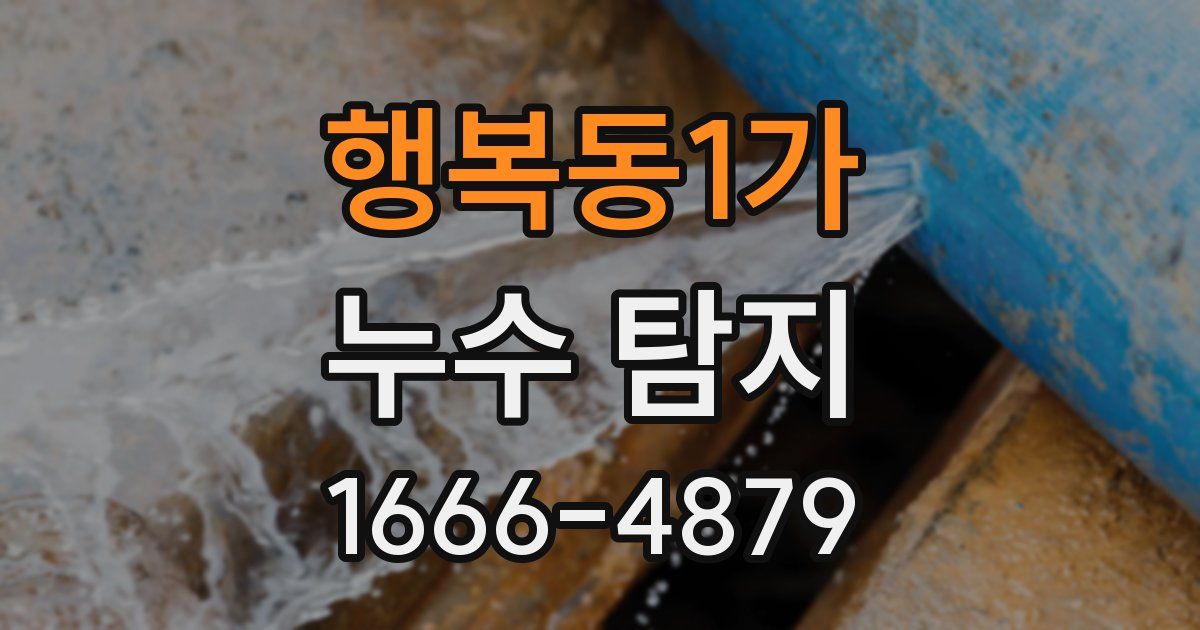 행복동1가 누수 탐지