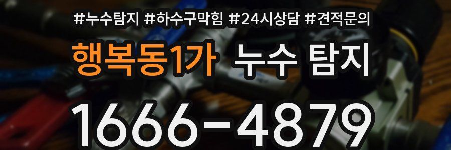 행복동1가 누수 탐지