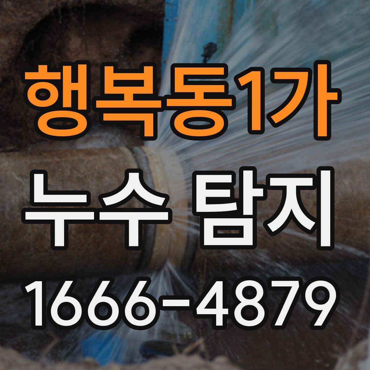 행복동1가 누수 탐지