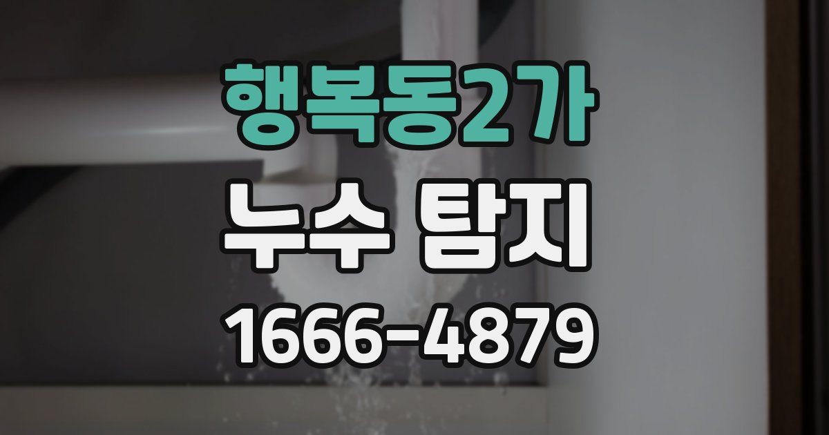 행복동2가 누수 탐지