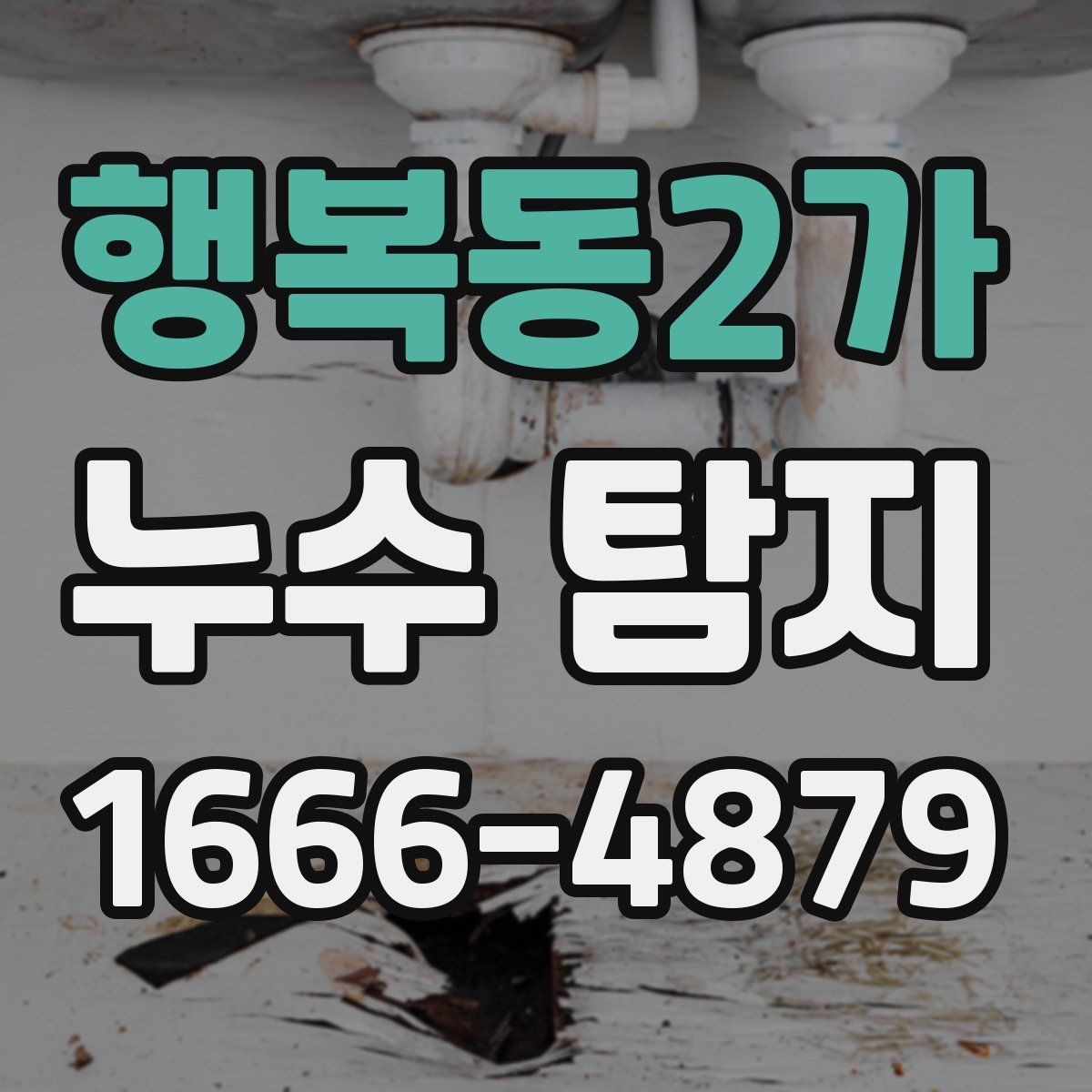 행복동2가 누수 탐지