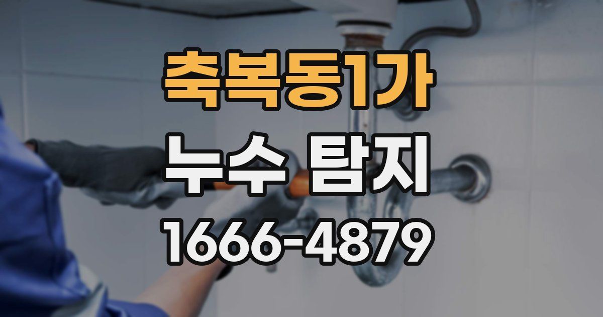 축복동1가 누수 탐지