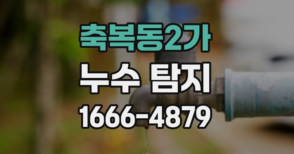 축복동2가 누수 탐지