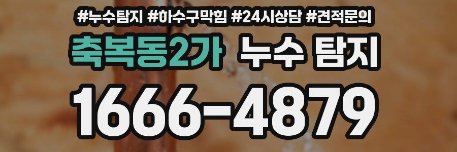 축복동2가 누수 탐지