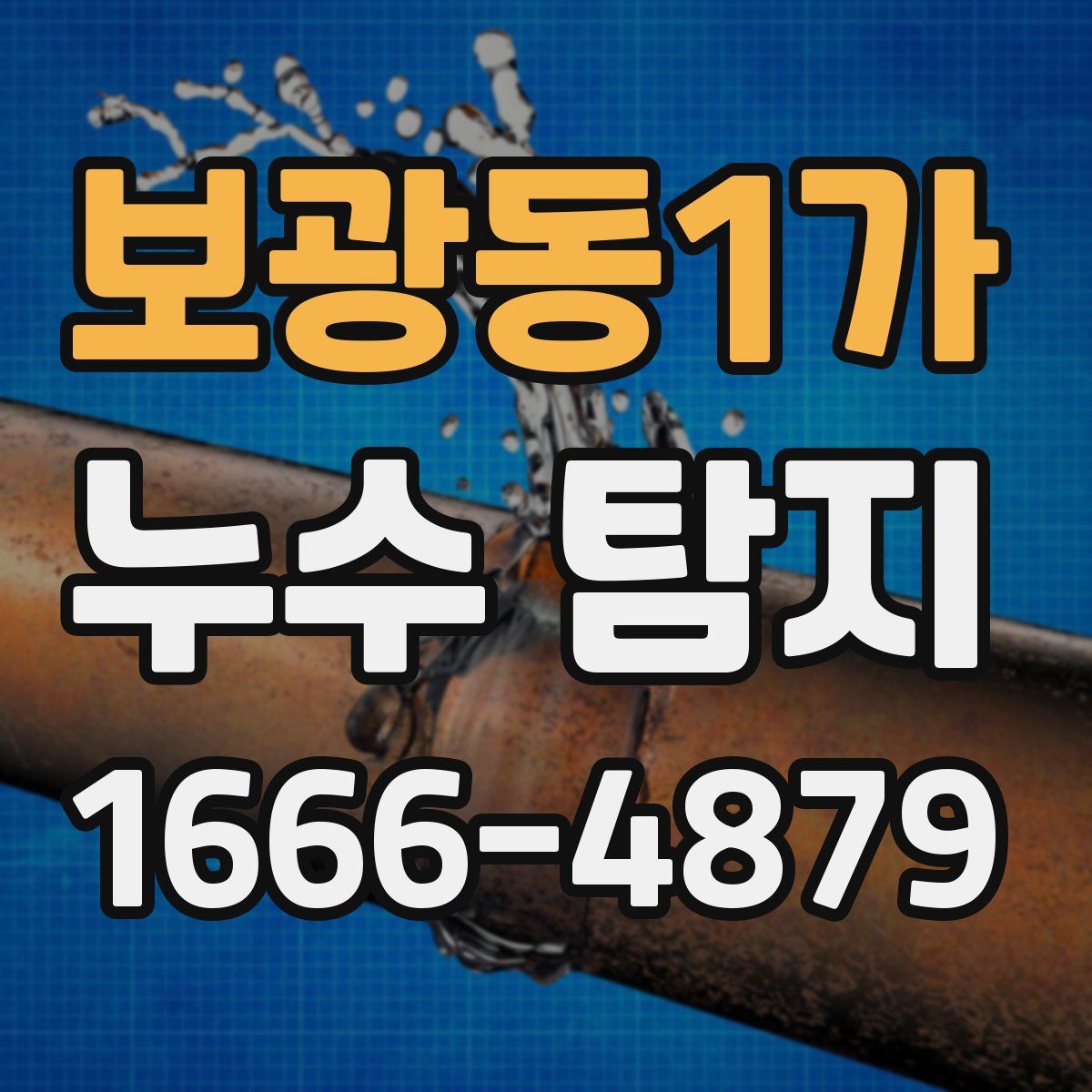 보광동1가 누수 탐지