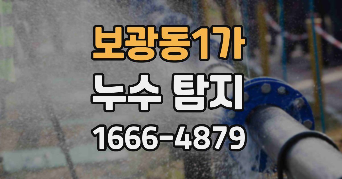 보광동1가 누수 탐지