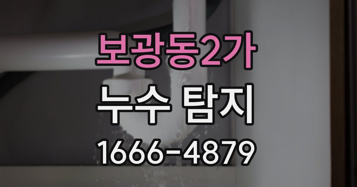 보광동2가 누수 탐지