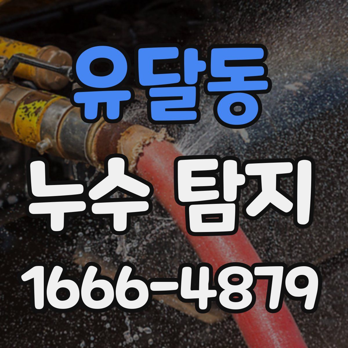유달동 누수 탐지